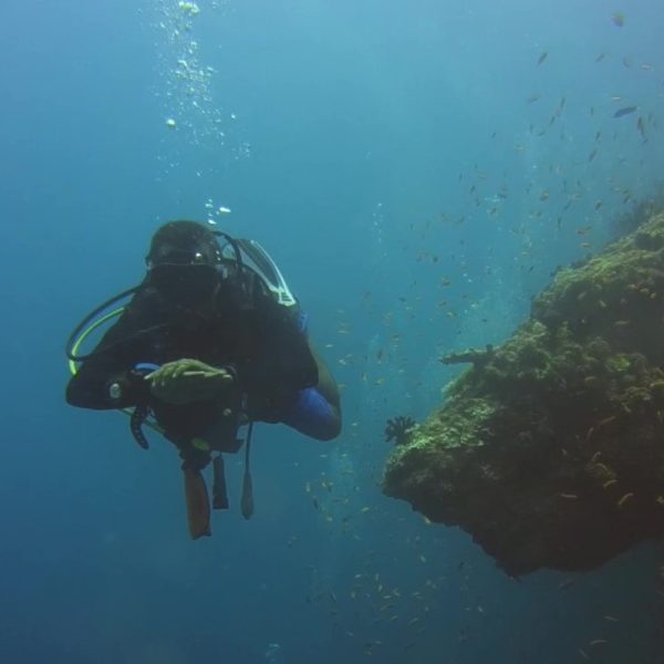 Dive-Mayathila_11