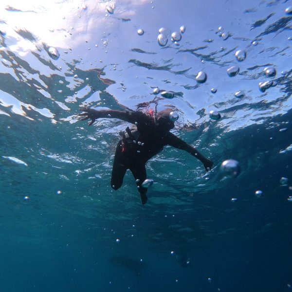 DCIM101GOPROGOPR2709.JPG